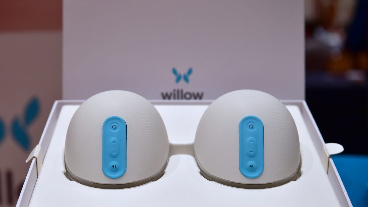 Willow Electronic Breast Pump