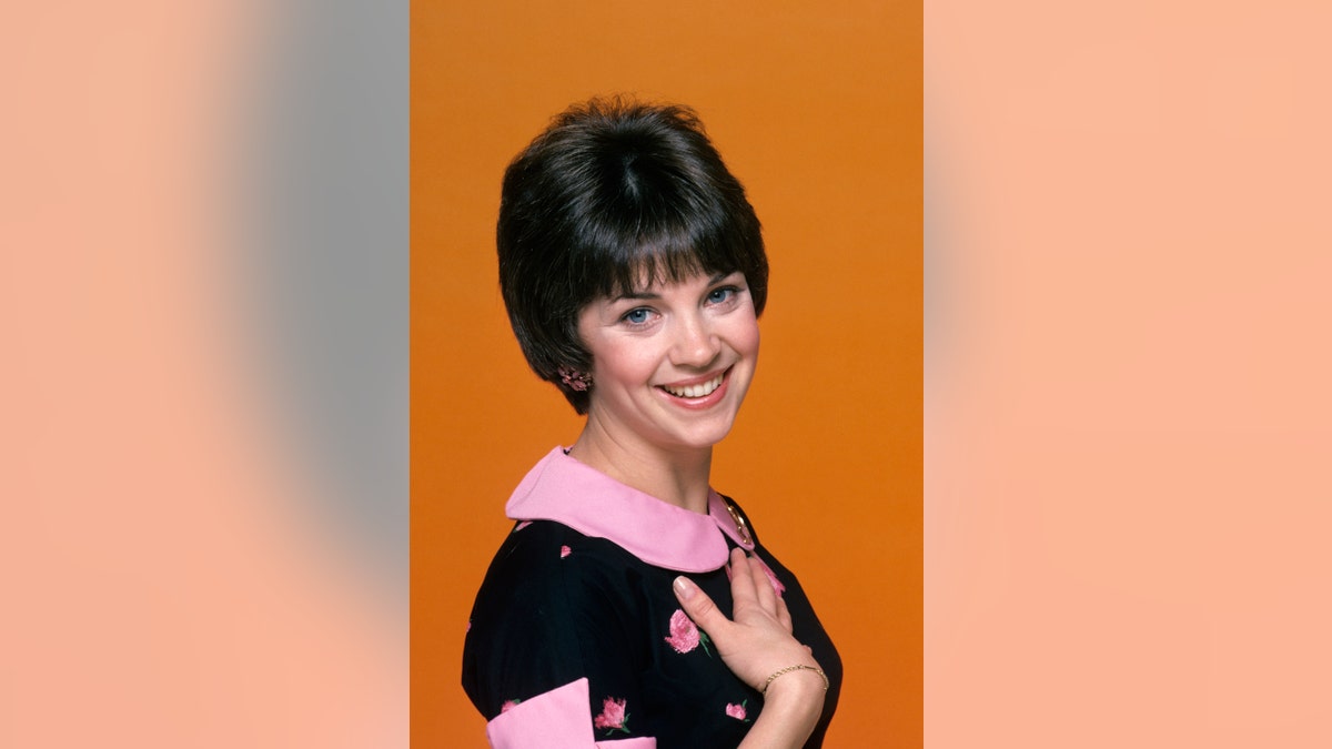 Cindy Williams as Shirley