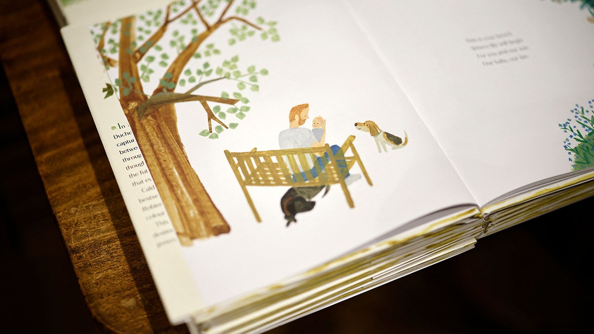 A detail from the children's book 'The Bench' by Meghan, Duchess of Sussex,