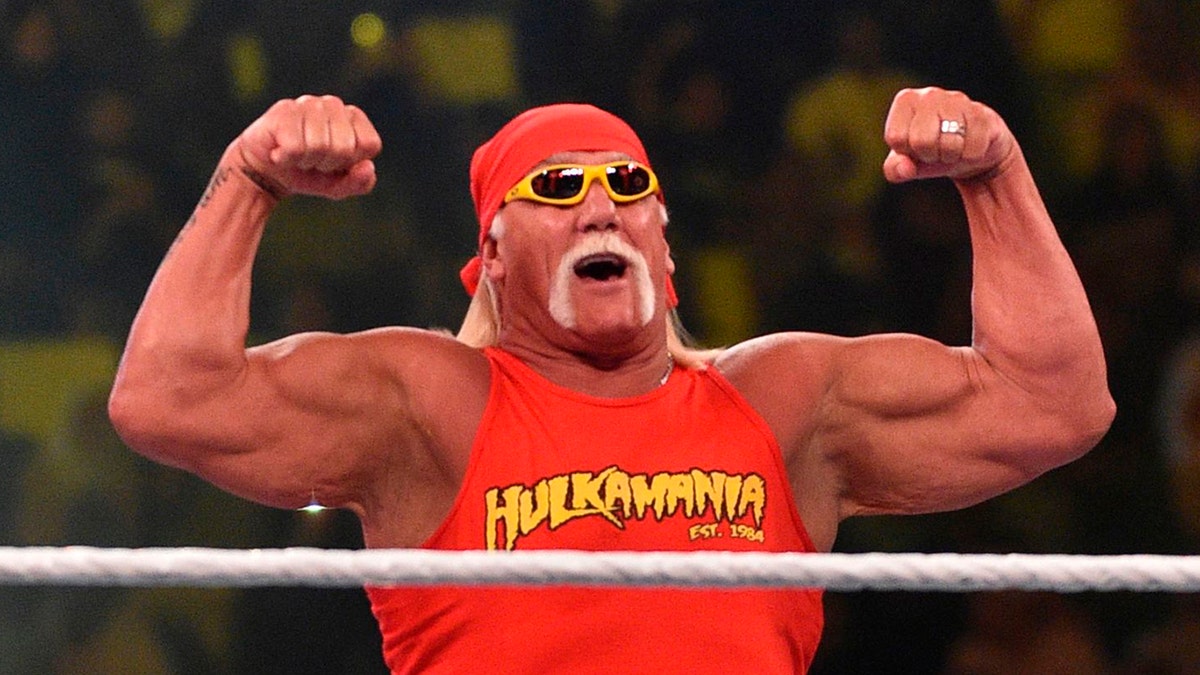 Wwe store hulk hogan