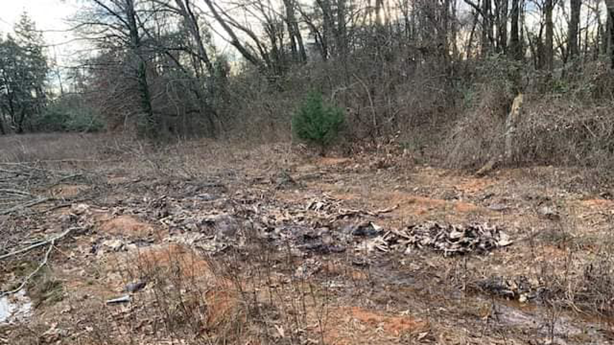 Hundreds of deer carcasses