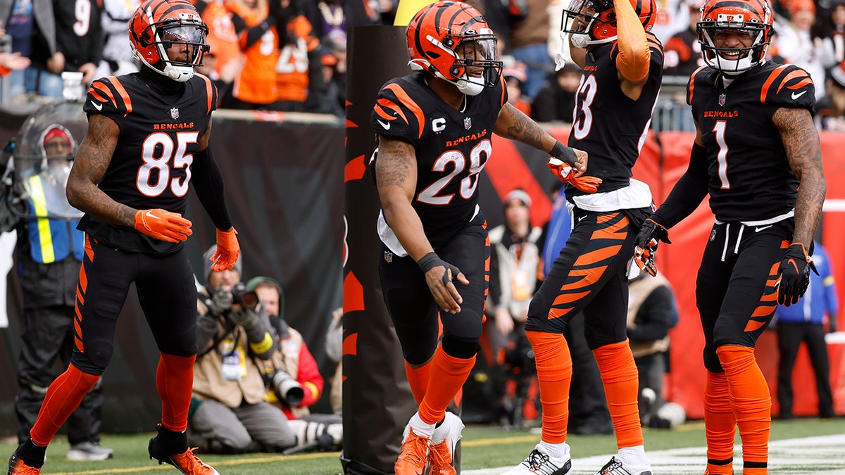 NFL approves new playoff procedures; Coin flip could decide Bengals playoff  game