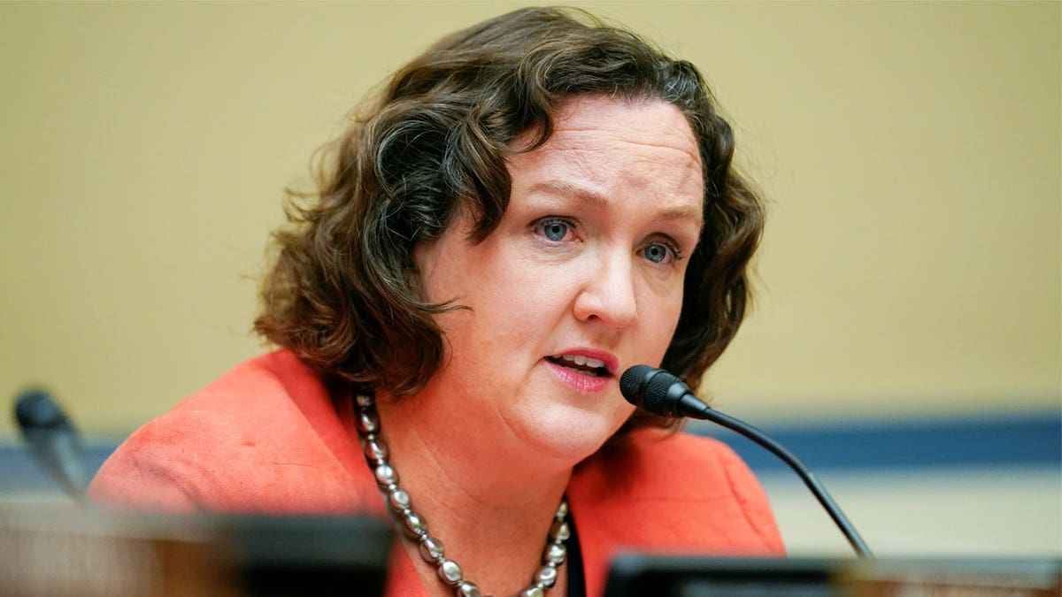 Katie Porter at hearing