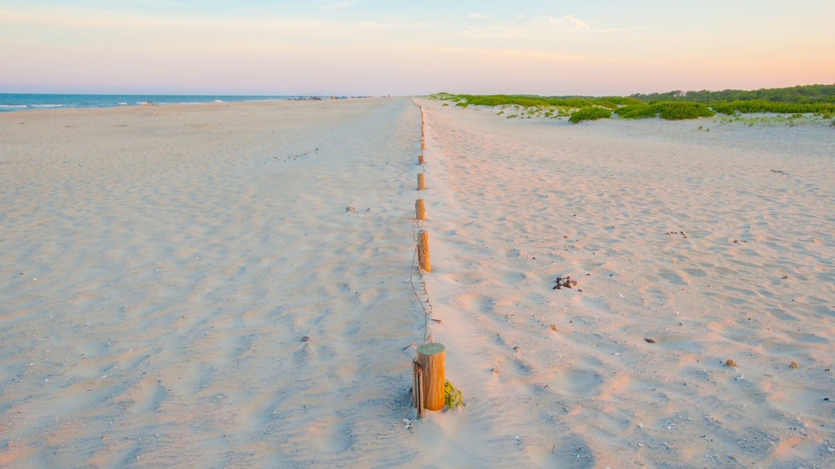 A beach at the Assateague Island National Seashore