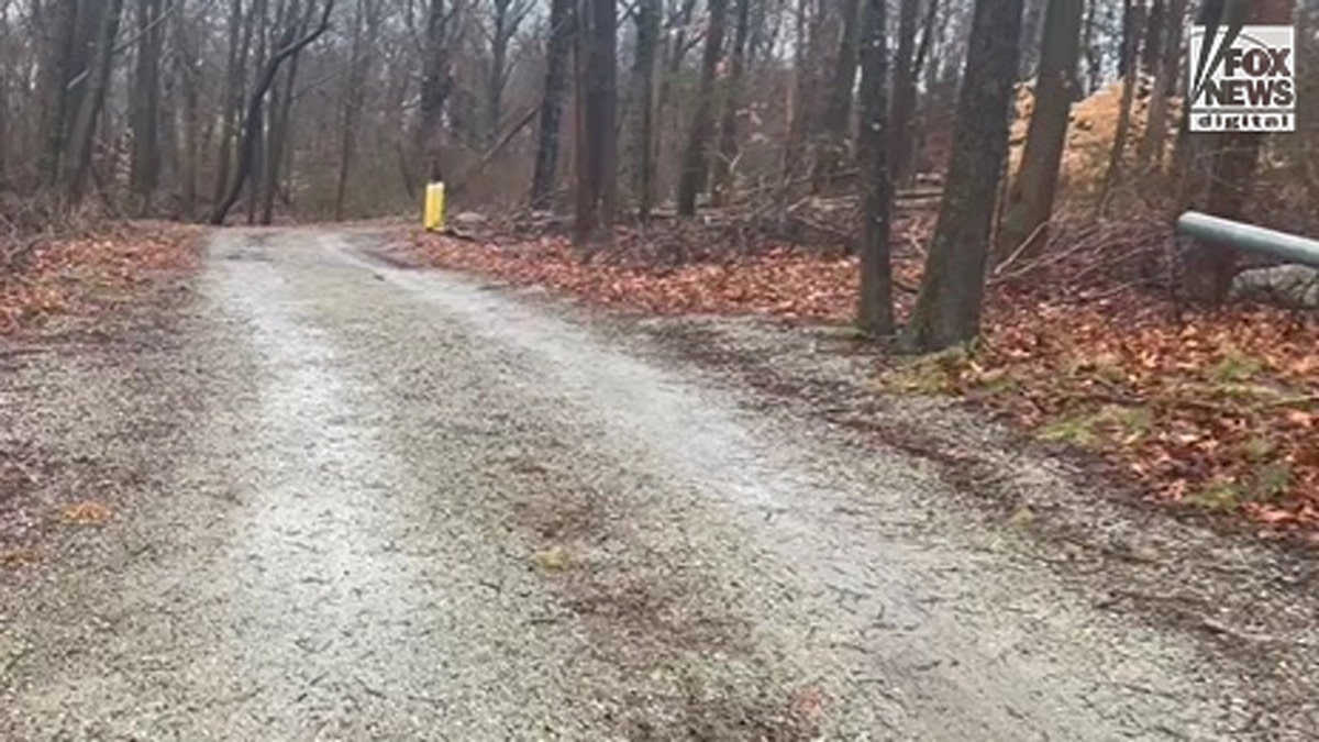 dirt road in wooded area