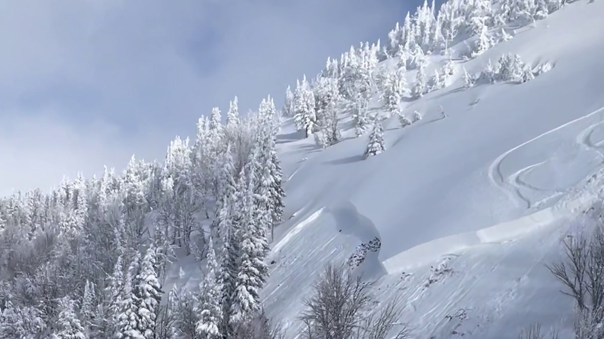 Albright Peak avalanche