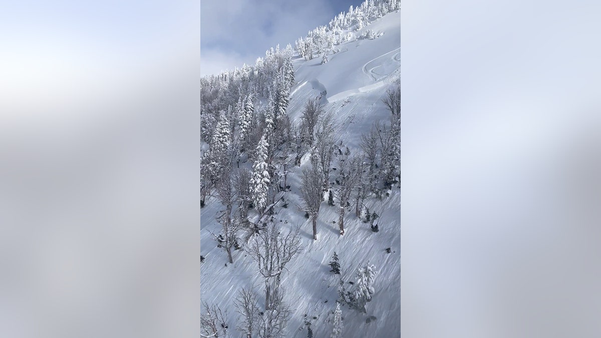 Grand Teton National Park avalanche