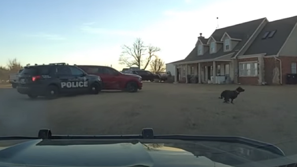 Wild Oklahoma Police Chase Ends After Suspect Smashes Into Tree: Video ...