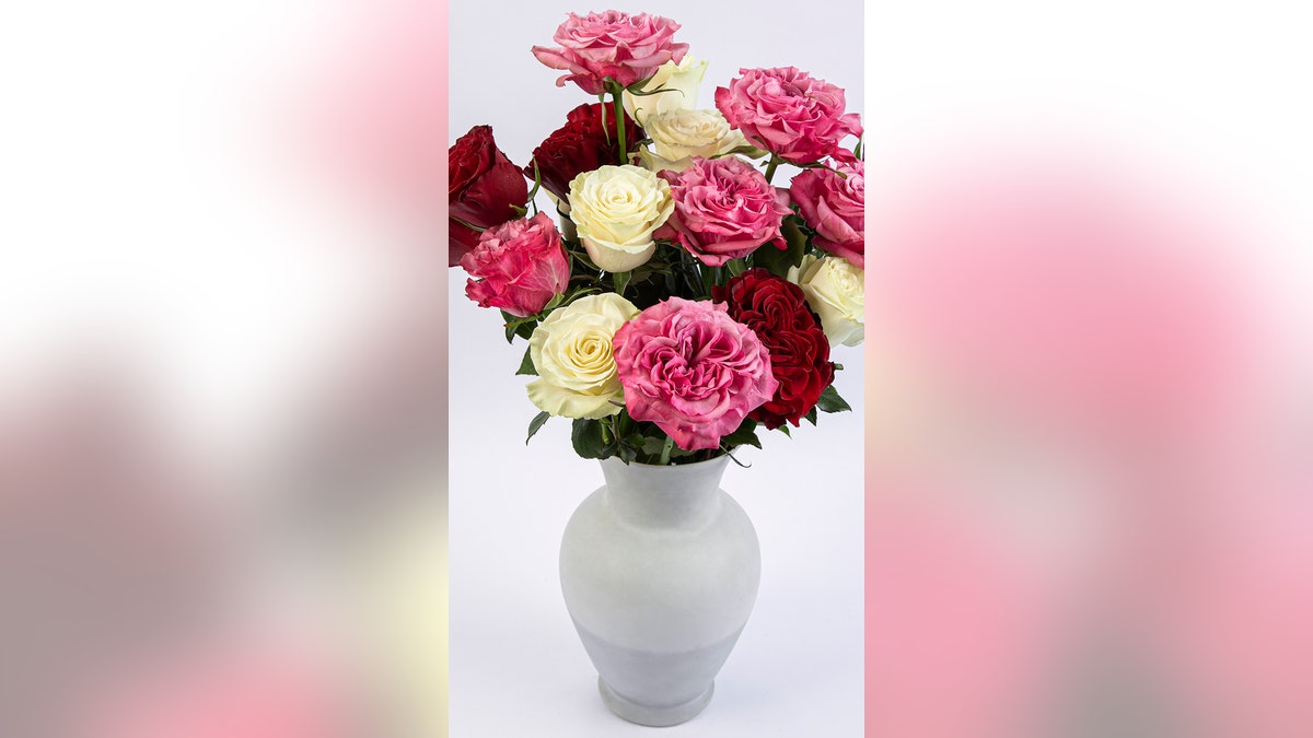 valentines gift guide pomp flowers