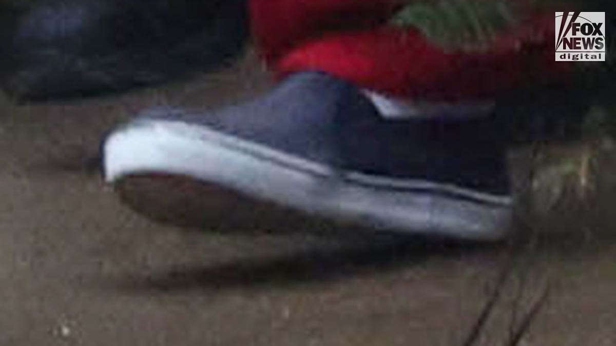 Close-up of a dark-colored sneaker