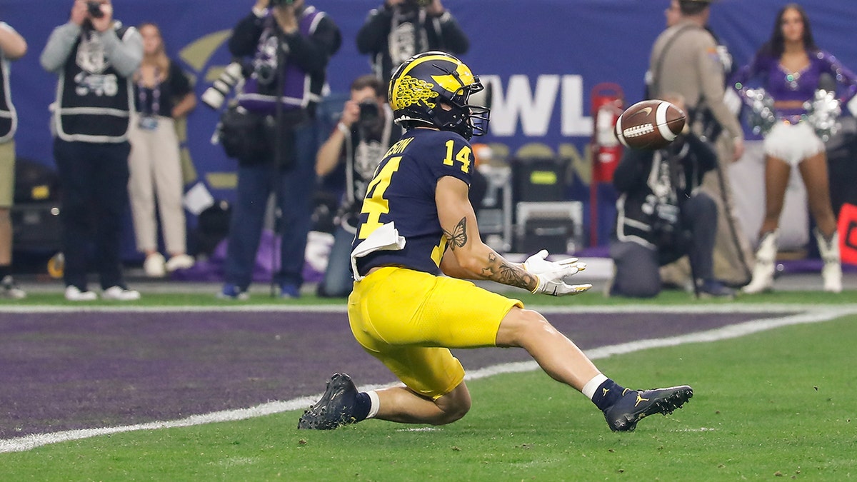 Roman Wilson nearly gets into the end zone