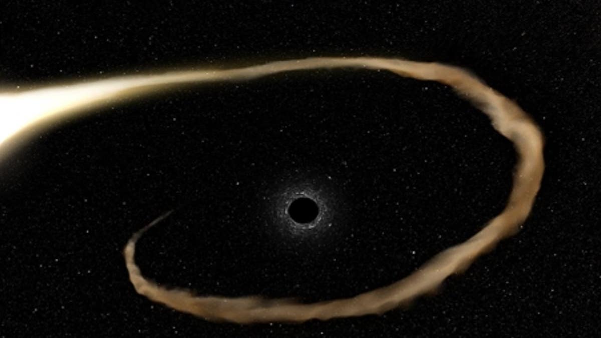 The star's gases are pulled into the black hole