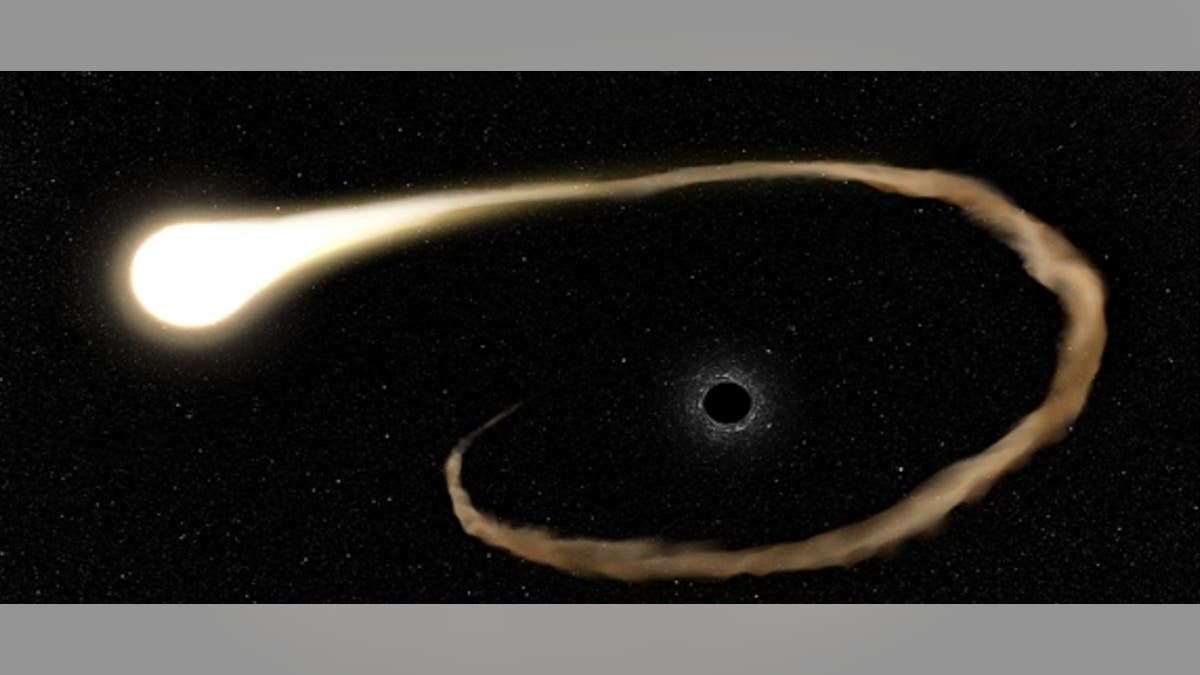 The star's gases are pulled into the black hole