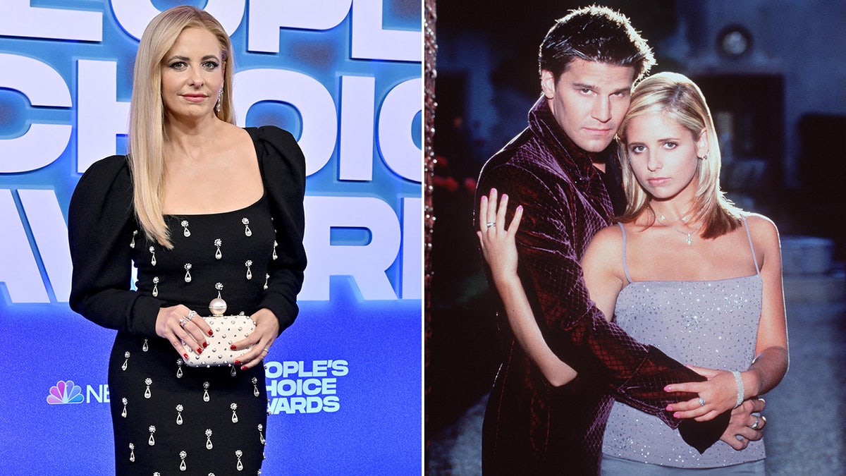 Sarah Michelle Geller then and now split