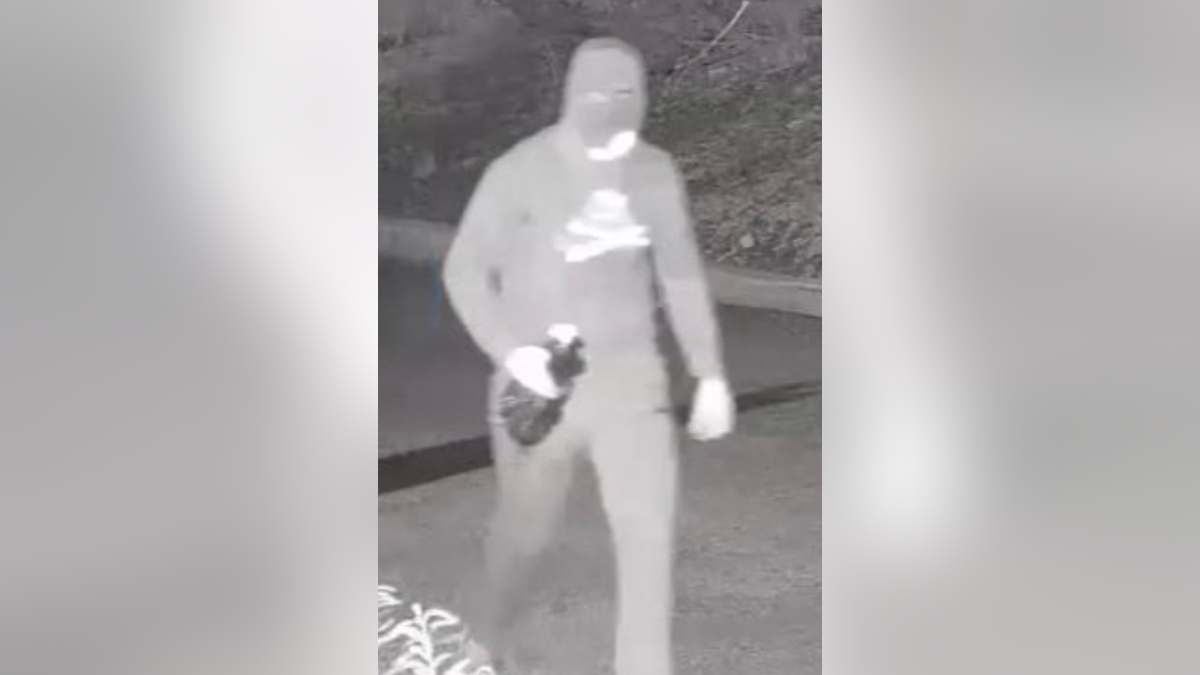 Masked man holds molotov cocktail in surveillance footage