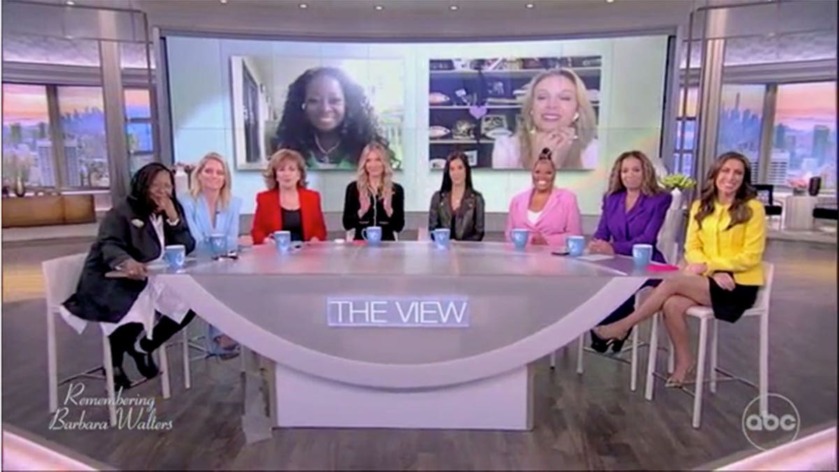 The View hosts