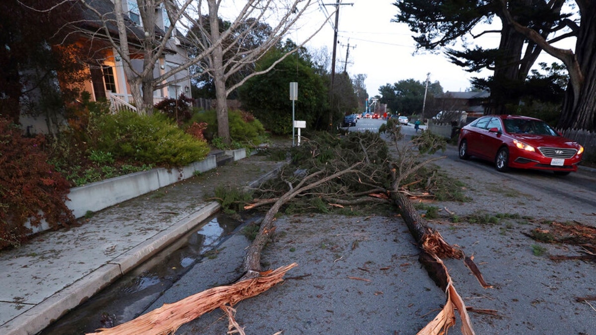 A fallen tree in Santa Cruz, Calif., blocks a road