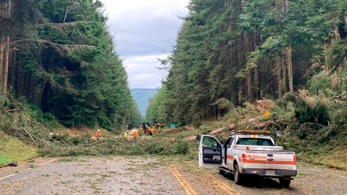 Crews work to move fallen trees blocking California's U.S. Highway 101