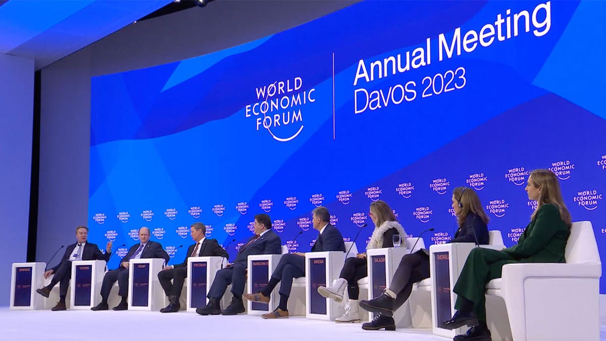 World Economic Forum panel