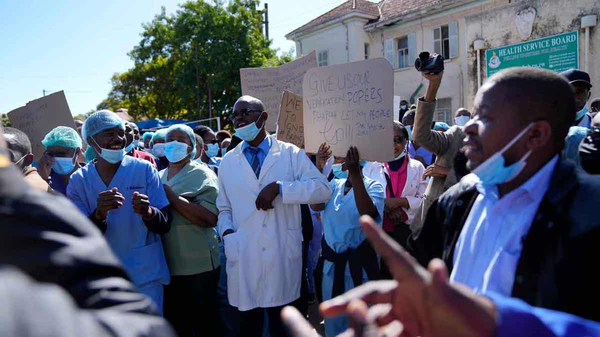 doctors in Zimbabwe
