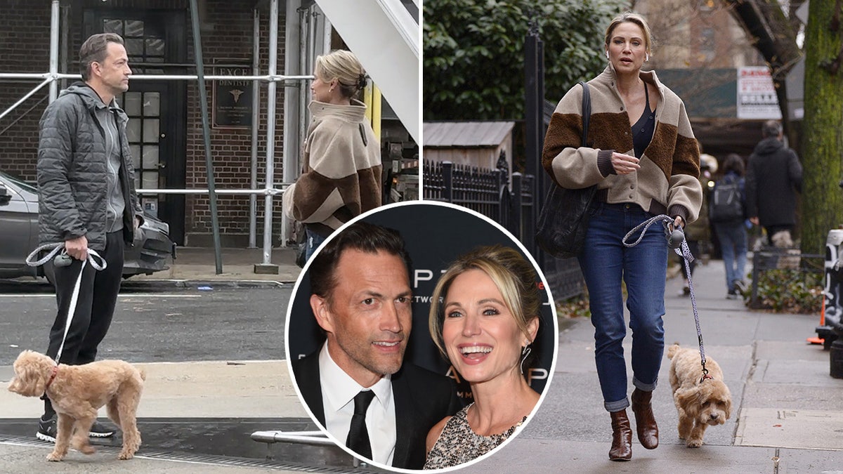 Amy Robach and Andrew Shue meet in New York to hand-off dog, split Amy Robach walks dog in New York, inset photo of Amy and Andrew together on the red carpet