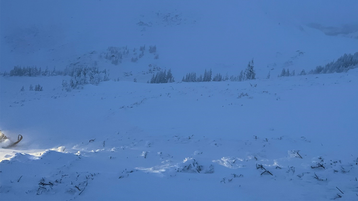 Fatal avalanche in Colorado