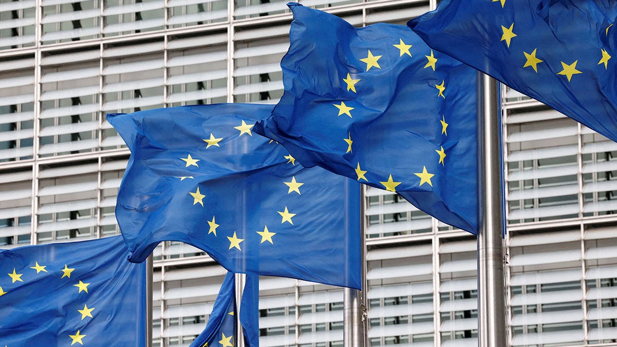 EU flags