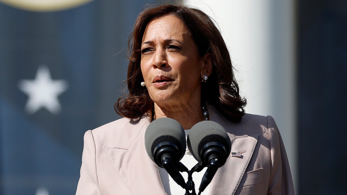 Kamala Harris Reveals Biden's 2023 Priorities Includes Inflation, Job ...