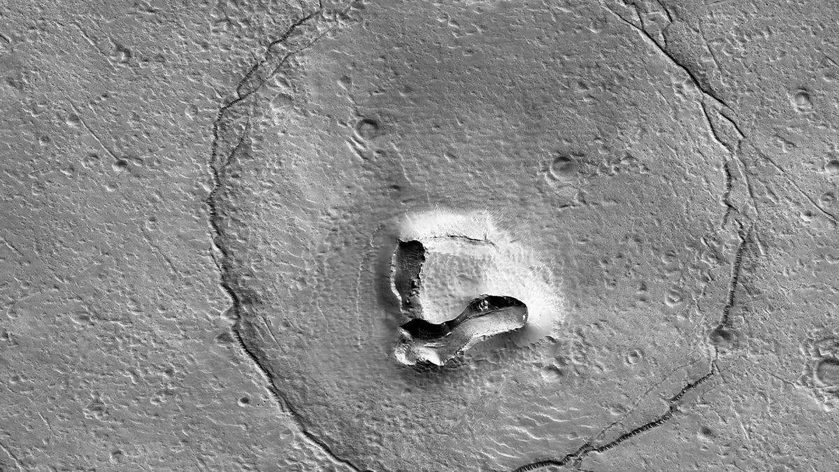 Bear face on Mars