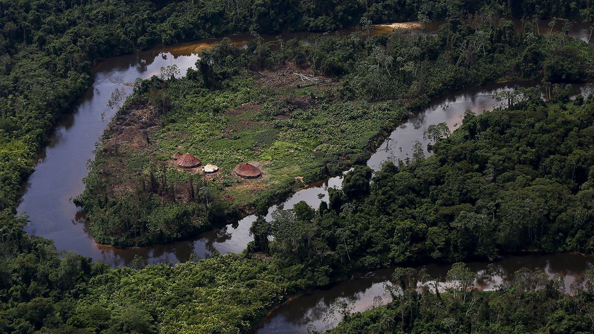 Yanomami in Brazil