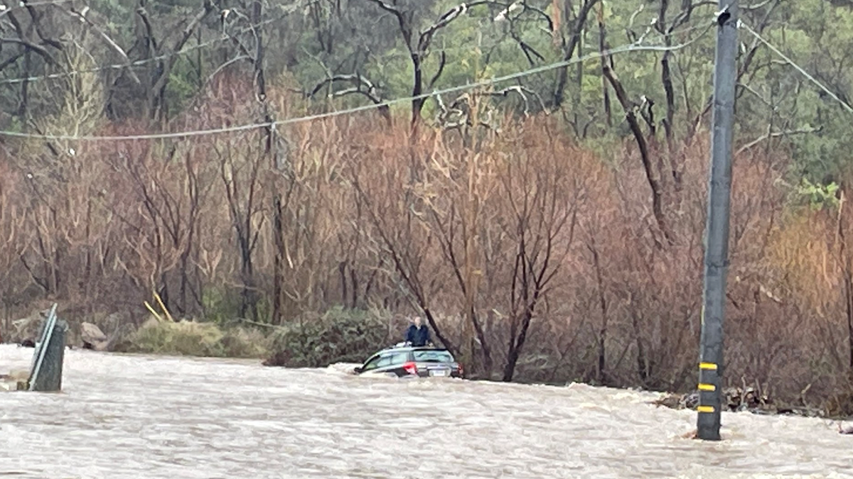 Man on roof of car in flood