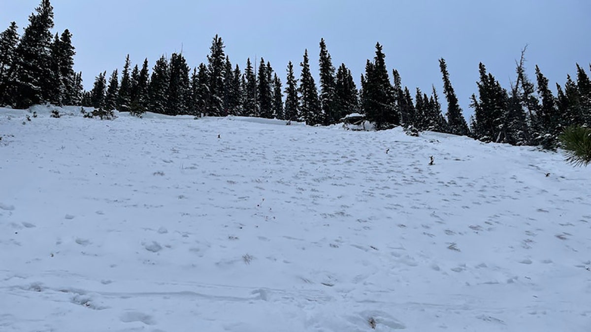 a snowy hillside after an avalanche