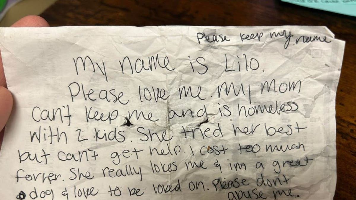 Handwritten note by Lilo's owner
