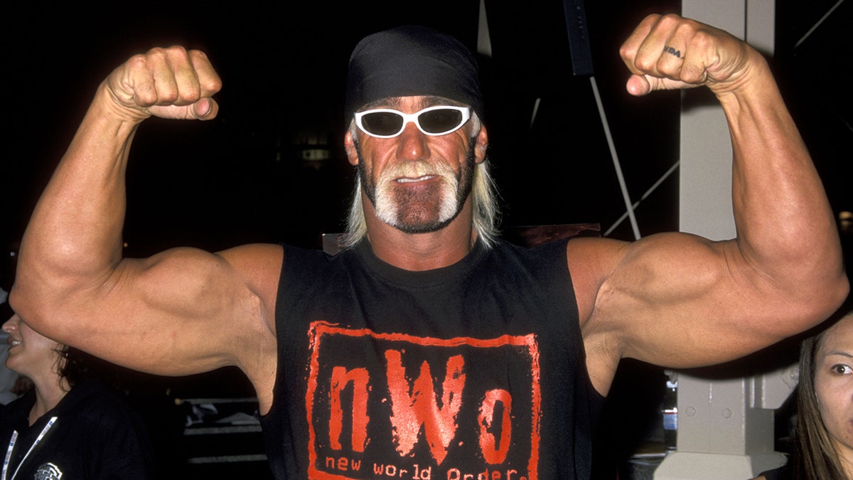 Hulk hogan hot sale nwo