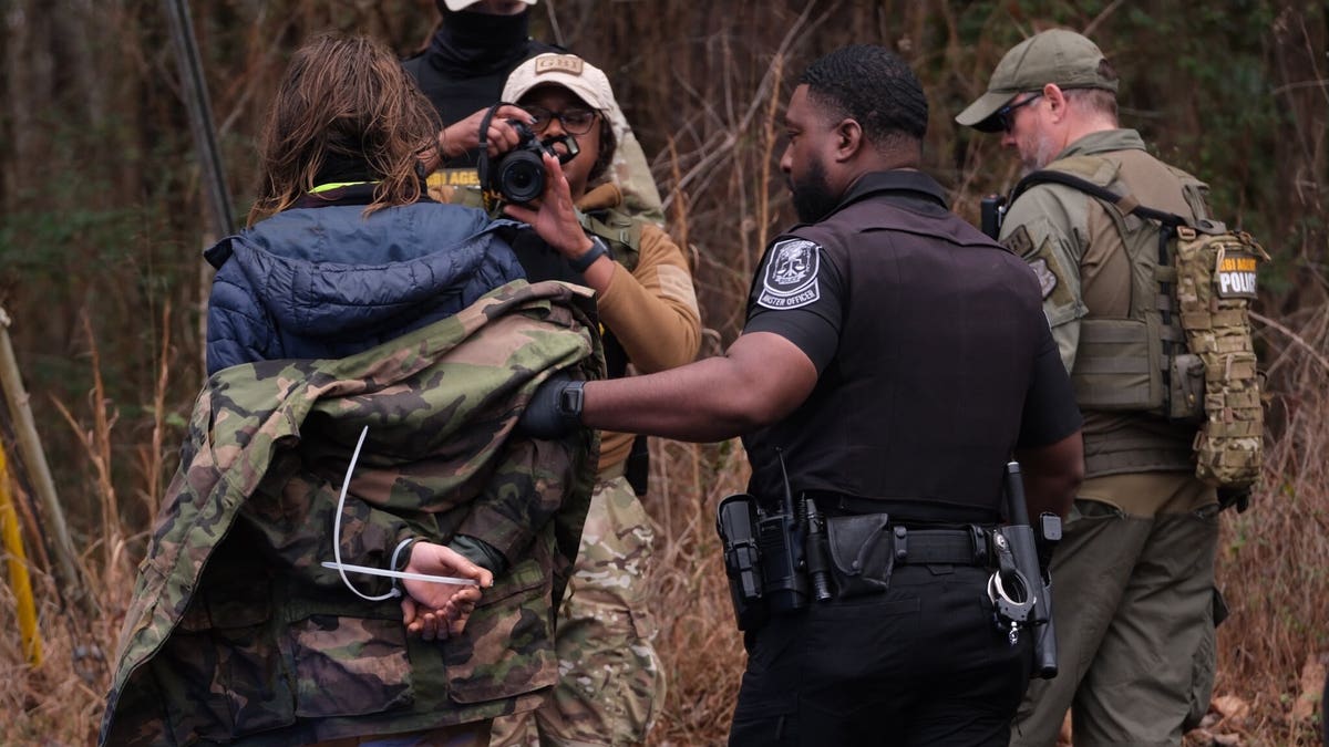 Protester arrested