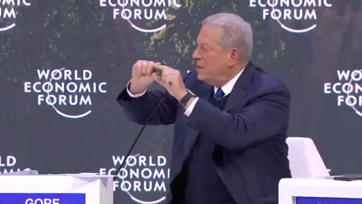 Gore at Davos