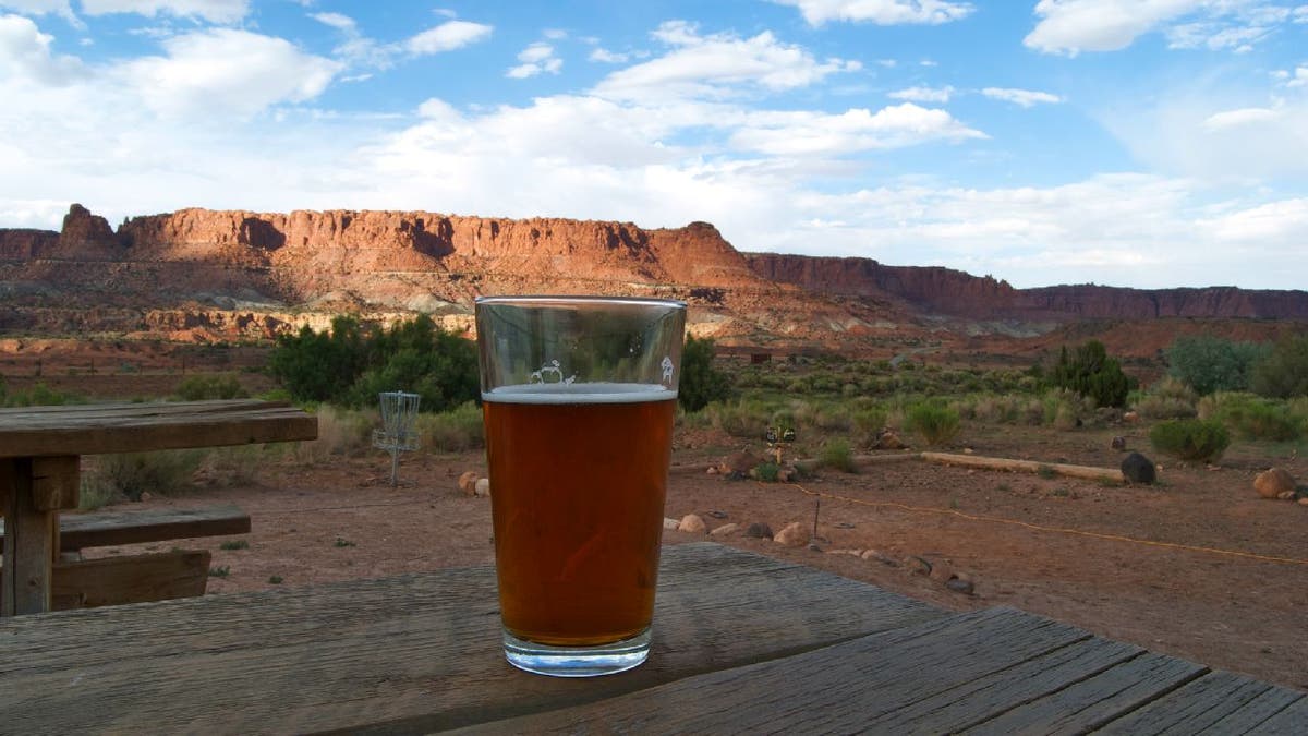 Cup of beer on picnic table