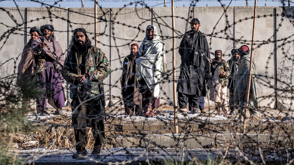 Taliban fighters stand behind a barbed fence with guns