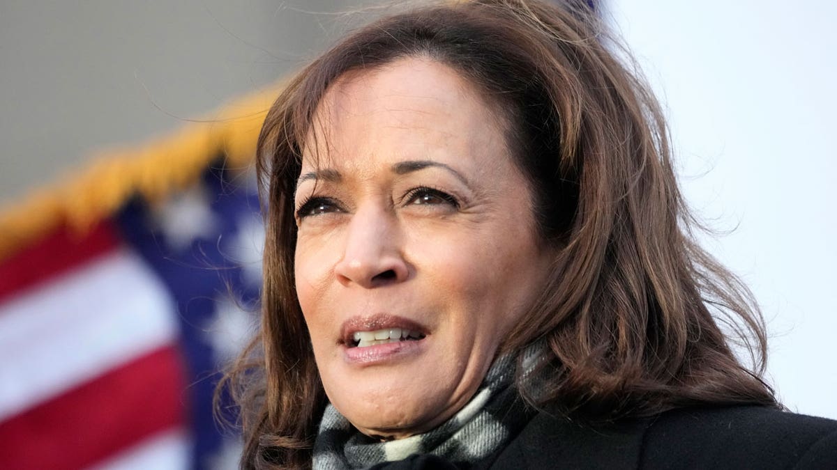 VP Kamala Harris Touts Successes As 'border Czar' As She Returns To ...