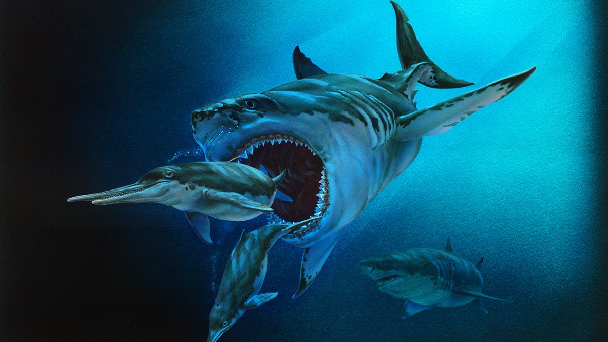 megalodon rendering