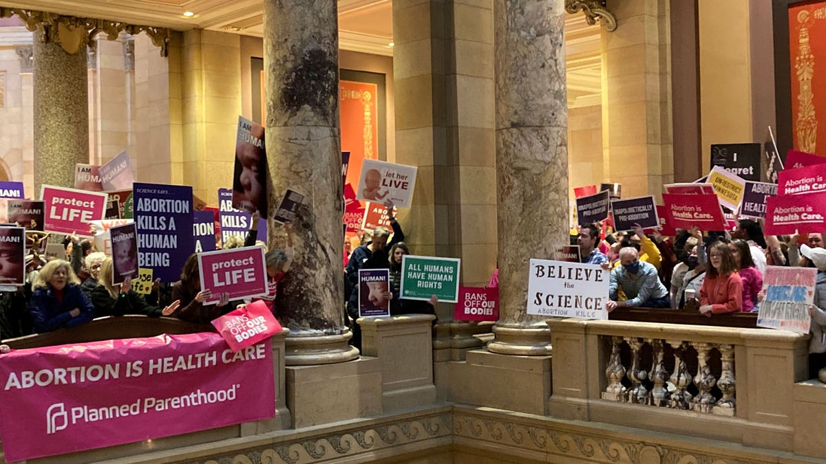 Minnesota Senate abortion