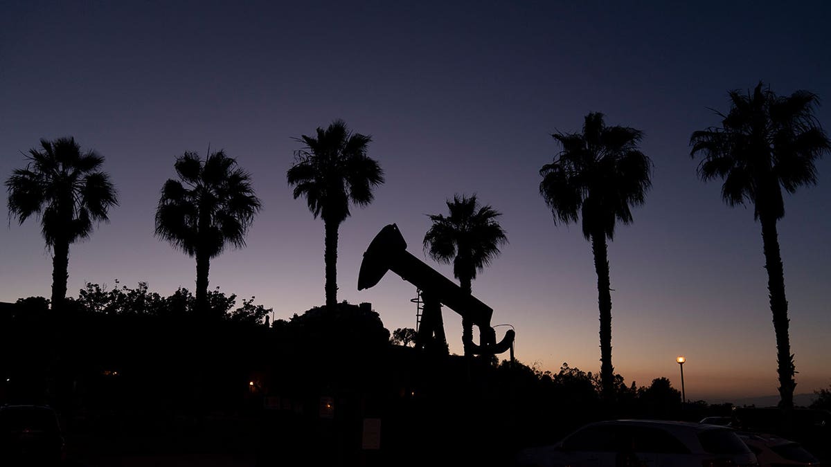 CA gas regulator quits