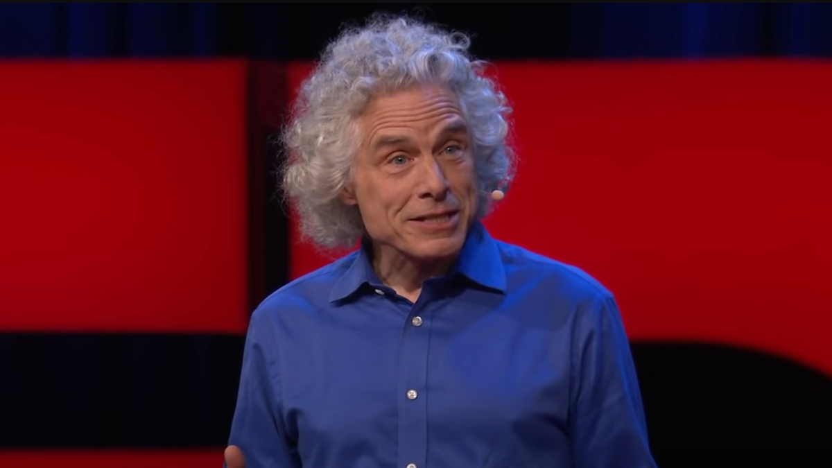 Academic Steven Pinker speaking at a Ted Talk.