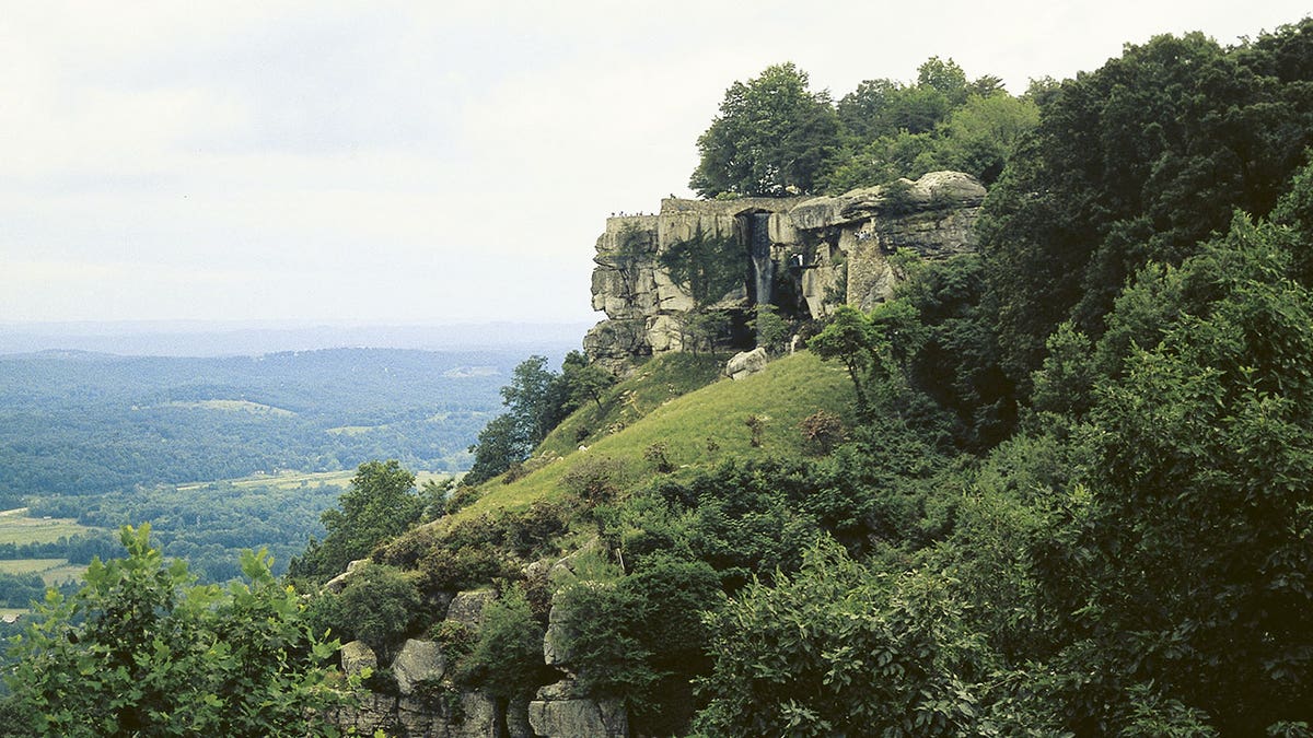 Grasslands across Tennessee, Georgia, Kentucky, Alabama