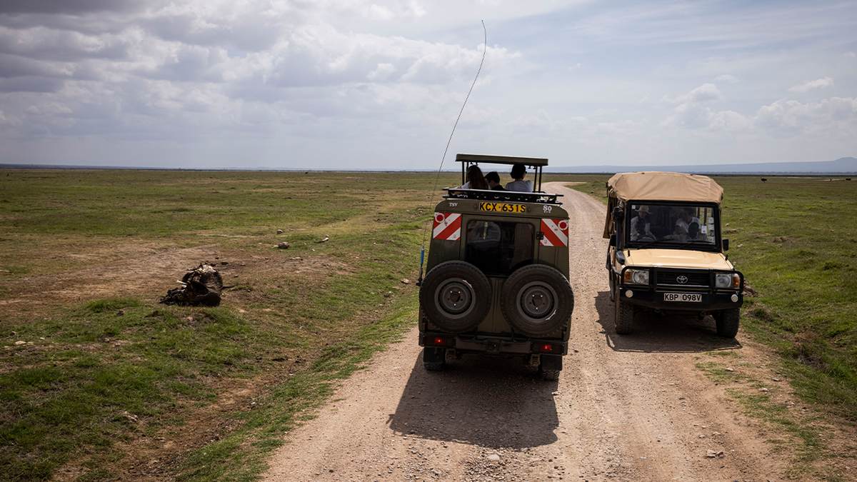 Safari in Kenya 