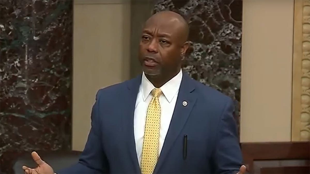 Tim Scott on Senate floor