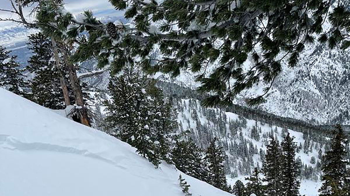 avalanche in utah