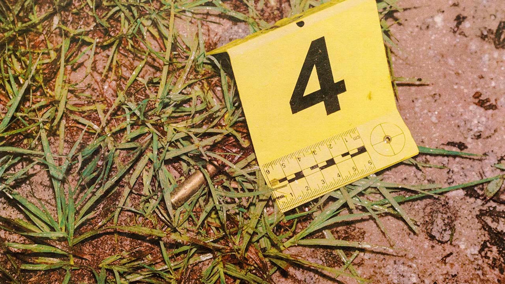 Pictures of evidence photos used in a murder trial.