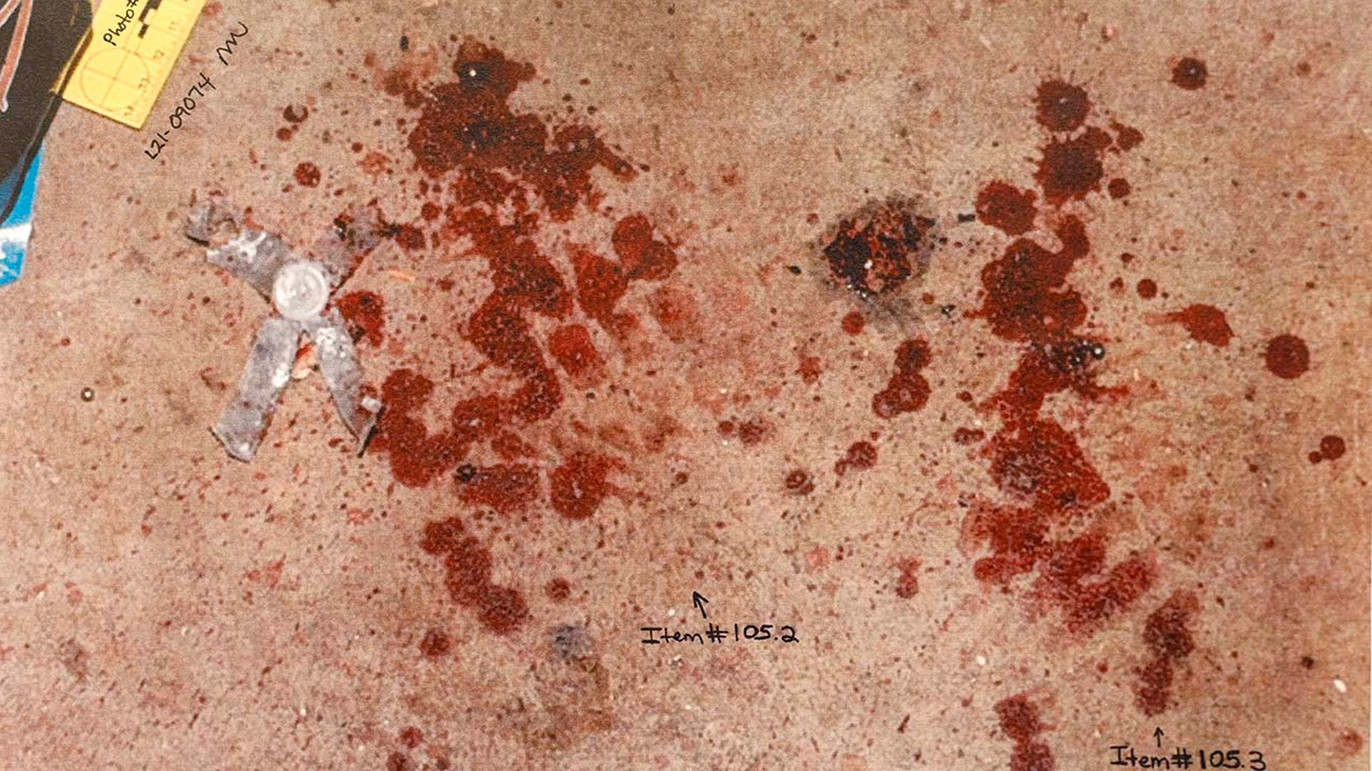 Pictures of evidence photos used in a murder trial.