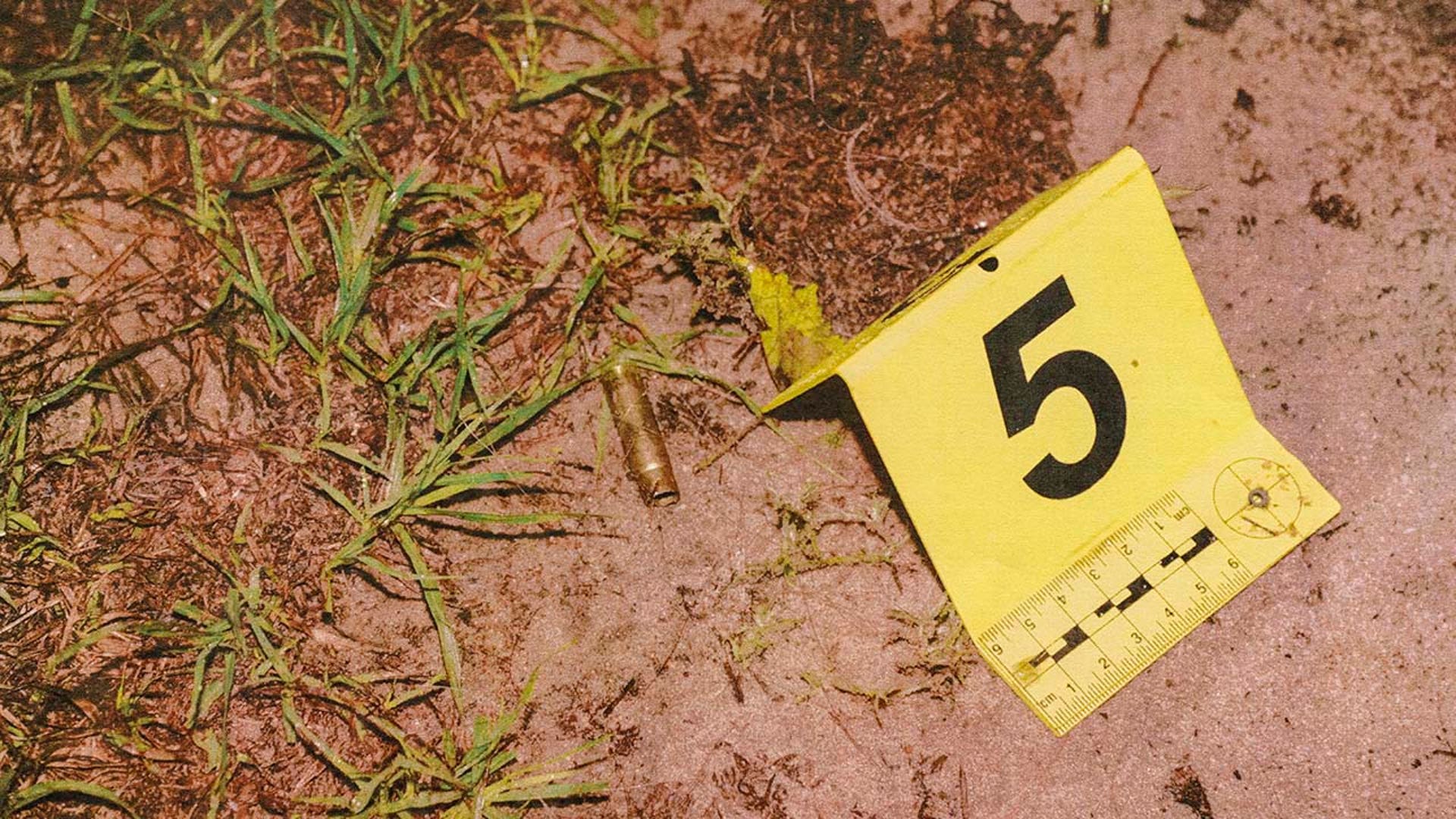 Photo Gallery See Evidence Photos From Alex Murdaugh S Murder Trial Photo Gallery See Evidence Photos From Alex Murdaugh S Murder Trial